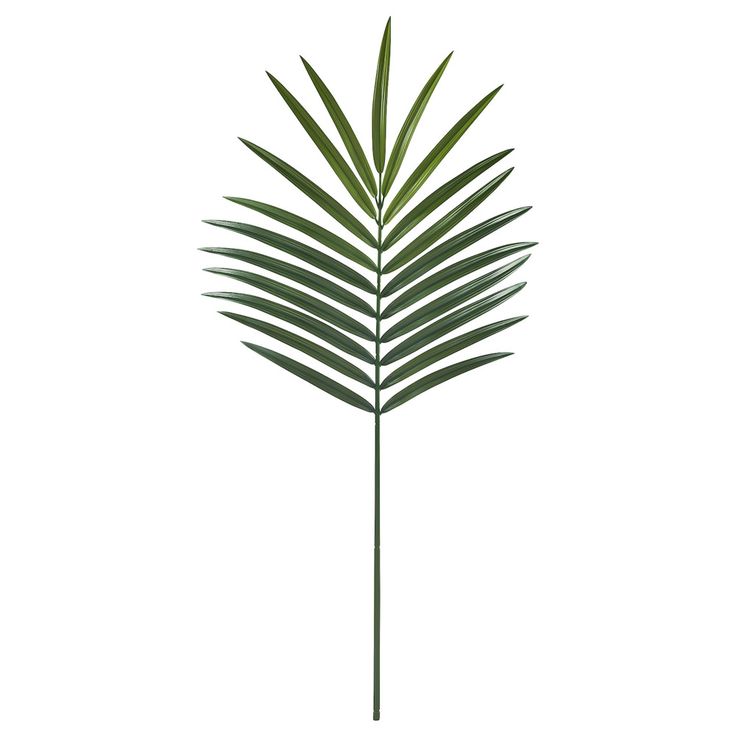 Mini Palm Leaves